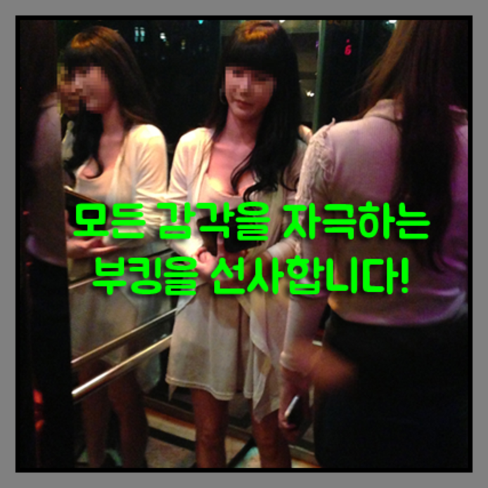 강남청담나이트1